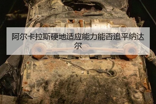 a-er-ka-la-si-ying-di-shi-ying-neng-li-neng-fou-zhui-ping-na-da-er-2-467.jpg